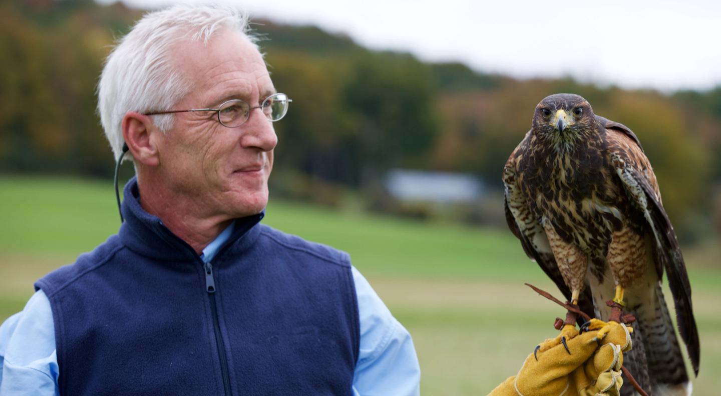 Falconry Experience
