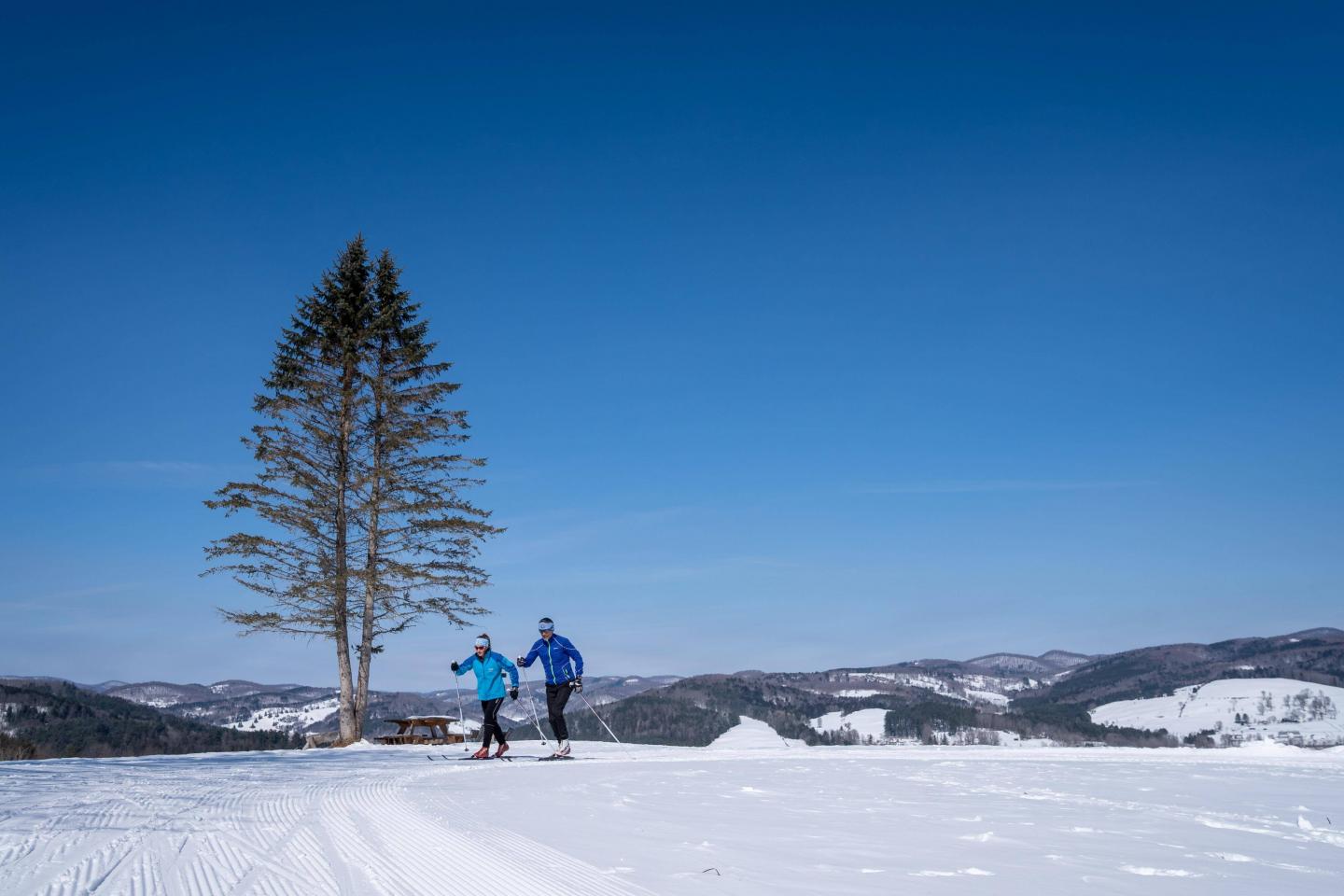 Two trail networks to explore!