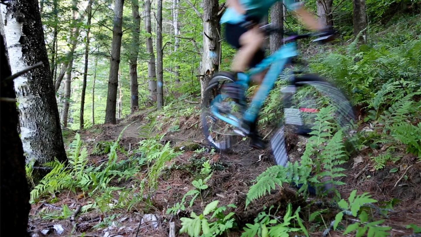 Suicide 6 Mountain Biking