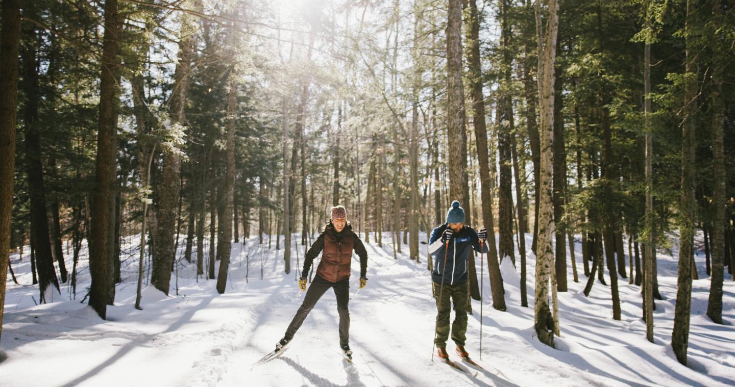 Two People Cross Country Skiing through Trees