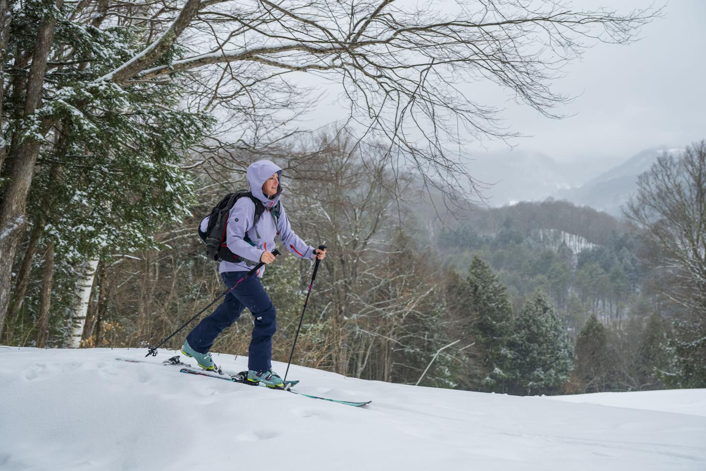 Cross-country skier on a snowy trail with trees in the background.