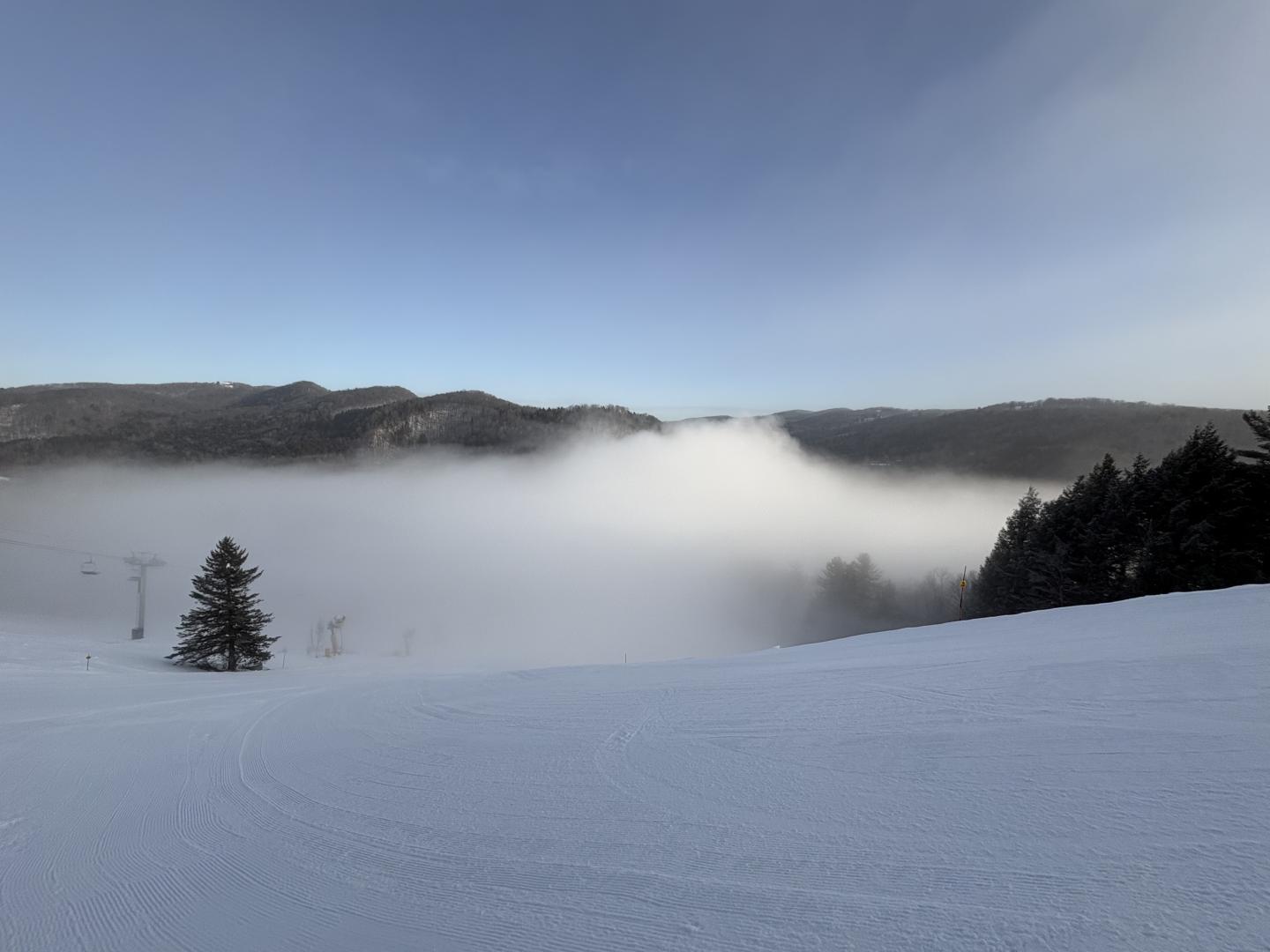 Snowy landscape with fog over hills and a tree on the left.