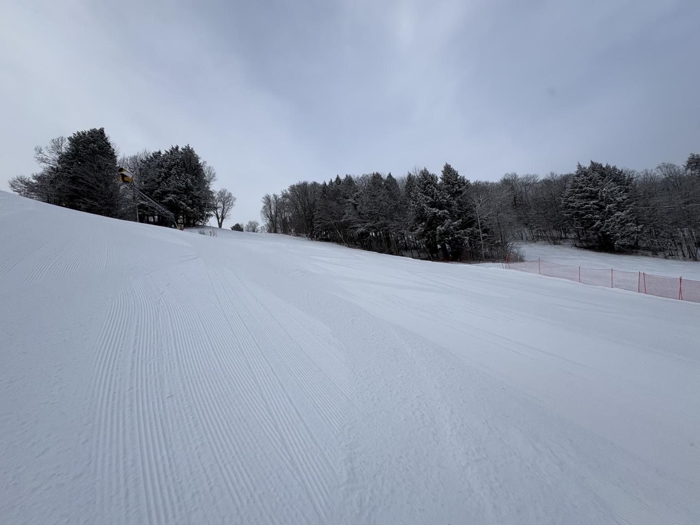 Snowy ski slope with trees and cloudy sky.