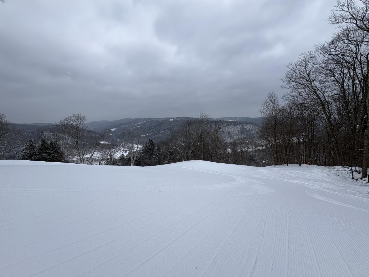 Snowy landscape with overcast sky and distant mountains, trees lining the sides.