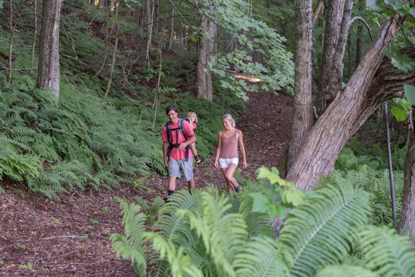 Family hiking on a forest trail surrounded by green ferns and trees.